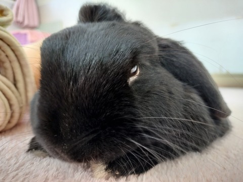 AFFD63D5-F40D-4B59-A82A-E5BDA49E250A