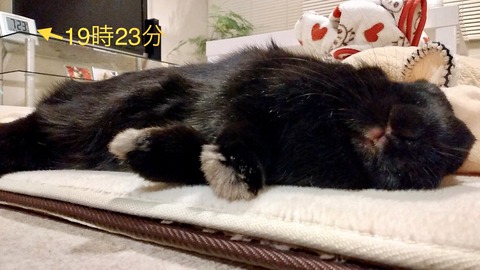 82EAD1E8-3CBA-446C-BE95-7ABD153B63DD