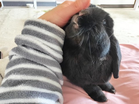 83AB6BAD-3D4C-4254-A637-5CD128EBF701