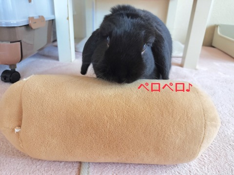 7A1BC496-CC10-4079-A47F-559353F10B29