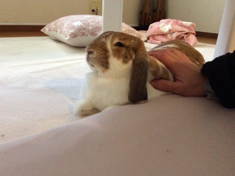 B9D225F1-9FAD-46DC-9ECC-46E961F77227