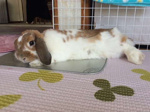 EB0C30FE-0E79-4ECE-820B-7B06EC3F8832