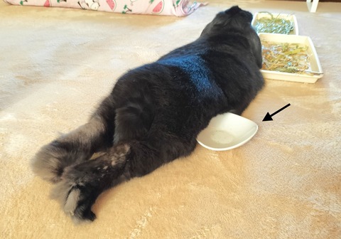 06BBAB6D-B8BA-4E96-B6D9-B01819A8FAD7