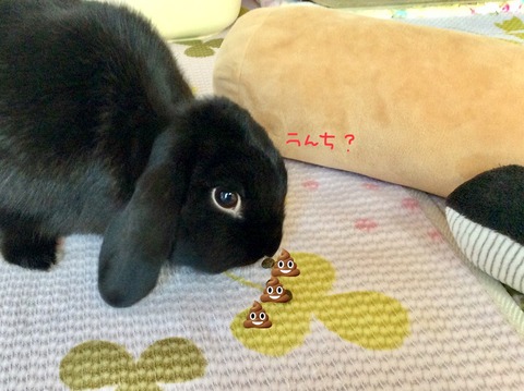 138E4E00-50B9-4A1F-9152-979B5C2D8C4F