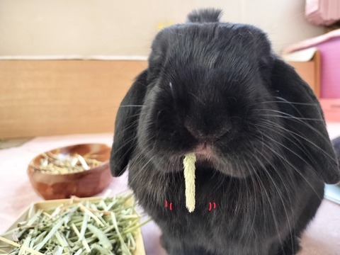 6CAB9CBE-130F-49AE-B5B9-E9220FEAD7C0