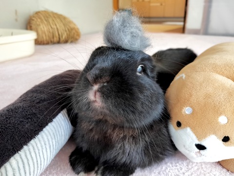 7840B181-BEFA-4D03-8FBA-076EC037DF16