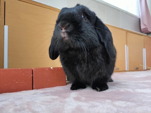 50272837-6C38-4F80-85DB-AC62BDEBBE5E