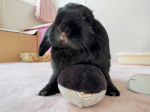 A971C5D2-E04C-450E-92C9-73D6F14960E7