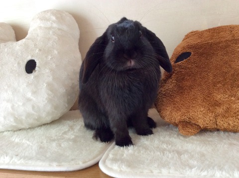 9C8F4C06-B1B8-4244-8CC3-E0AA93A0F2E8