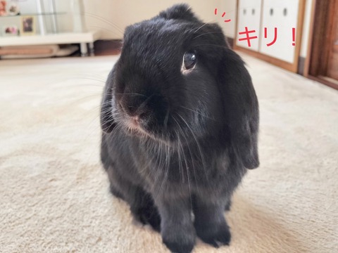 0571C44A-75D8-4E9B-8C8E-B30157A21350