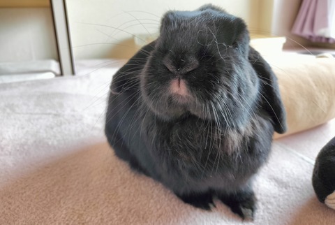 D2332E56-0273-4D5C-A8F6-E47685F61921