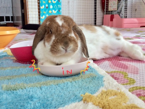 94F580FF-495A-4CC3-A609-B8F6CC0CFF46