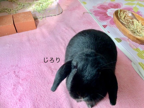 01D6C24F-E502-401B-B19E-F62A58C86FCA