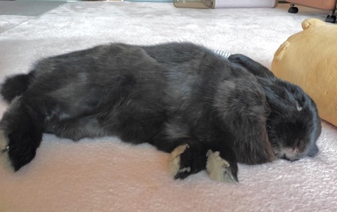 4B93C6EA-3F81-4567-9EF8-9210BECD64DC