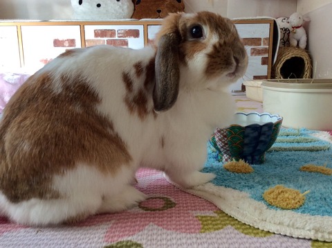 16EB70A1-D6B3-4582-8B15-4F07A5C15B50