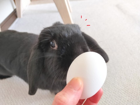 A8259271-6E45-46E3-A284-4A4915A6E468