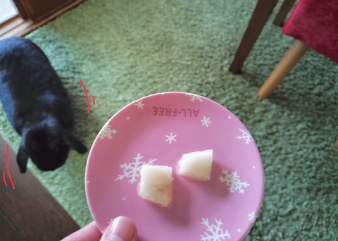 EFB46157-FEBB-484F-8D2B-C5B7049499E4