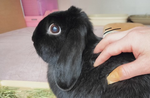 A1163E31-AC3D-4BC2-AEE2-774330C3F7ED