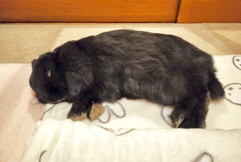 DD5D071A-B1D9-4856-B71E-B85D86AC687A