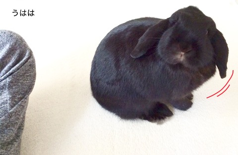 6A273C6C-A6F7-4AA7-BE2A-F44B7E6A8C63