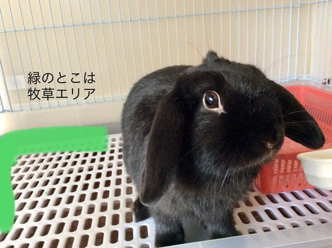 19EAA413-1C5D-4790-91AA-86FE2CE4BF77