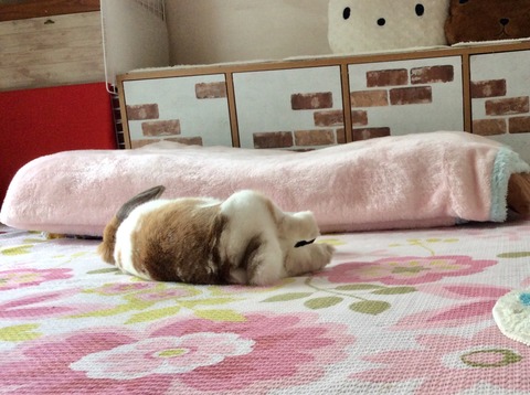 4EAEFABE-3E10-4B9C-9AED-F81ED54A5D8E