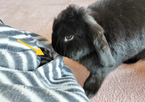 1057079B-0096-44C1-91B4-D709C0216E2A