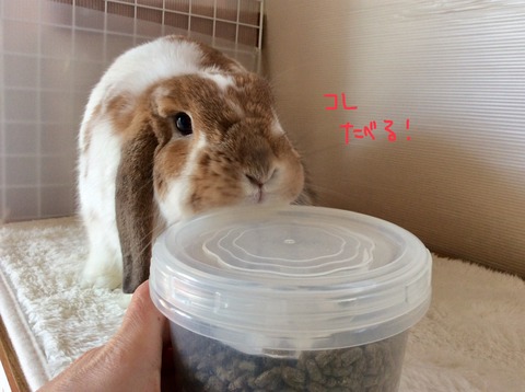 6F0F18A4-2AA3-480B-8D01-A19AE26E2F7E