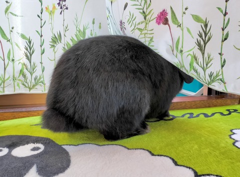 C6DCDBB3-CF08-427F-B067-E7B4AA86950B