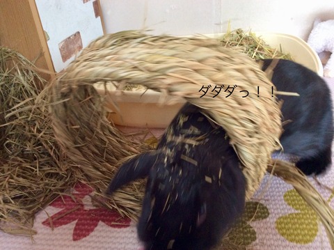 1215F3EA-A7DD-4E16-AD37-E50AC4EFA12E