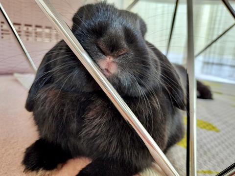 3F83FCAC-F372-4FD4-A447-9087E89098ED