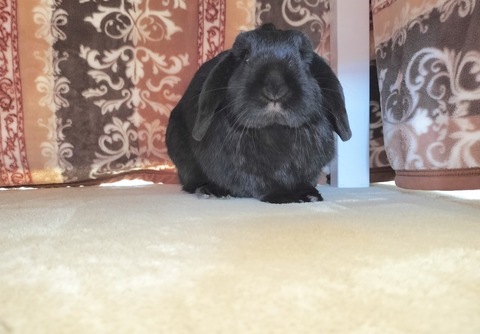 4177FFBB-AC07-497D-8683-D27F92A80ABD