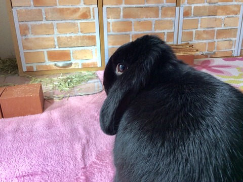 D8376A3D-B993-4FA4-9983-2E96FE0737BB