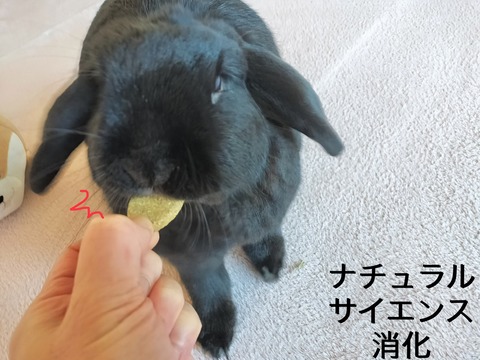 920CFFAB-DF9C-4D02-9C3C-2457C3EAB4F4