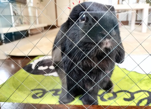 F7881502-49F5-4A2A-81EB-97C6A591D255