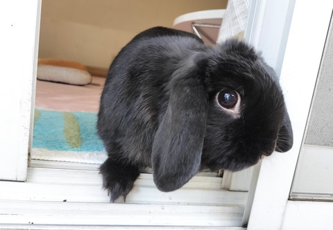 4A26BC1E-99F5-47AC-A8F5-7C59045A947D