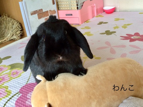 23DD1435-E50F-4D37-880F-2076FF2736DF