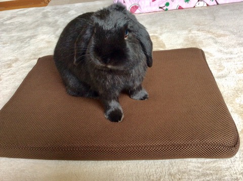 60948E40-BF0C-4125-9960-6F1FD27237A0