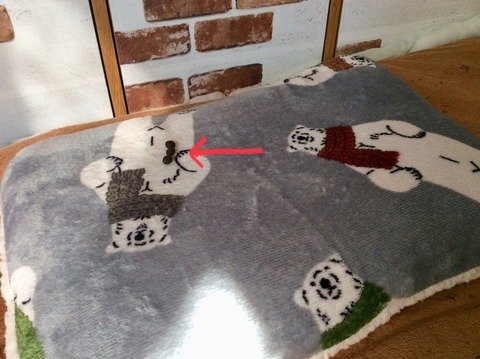 D6087FF7-2573-45FD-BDF5-C7702AACF7C9