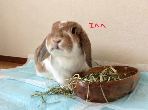 A100F194-7DEB-42DB-81DD-107184424158