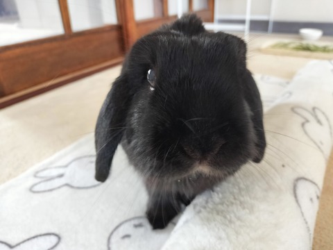 6CF795FA-5553-4188-8EAE-28947EA8F3A4