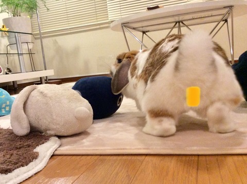 E59F41BE-2057-4224-83AC-5AC7B11D3180