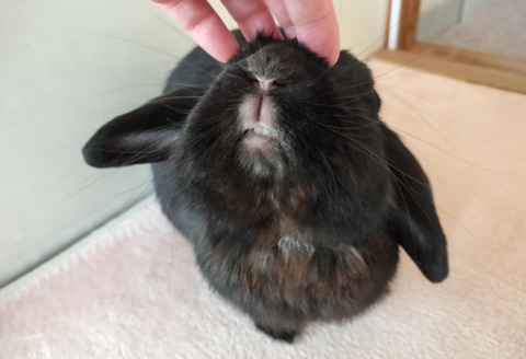 F3D95FF1-81B6-407D-9741-218A7FAF5AAA