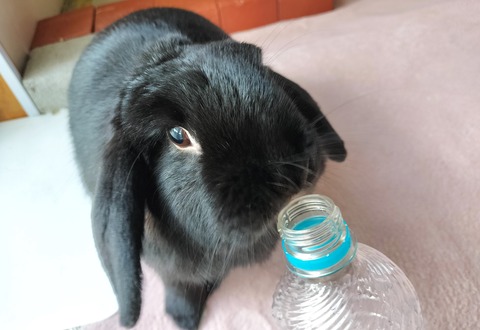 1ABC4204-2336-430C-96A9-2C7C90B5D40D