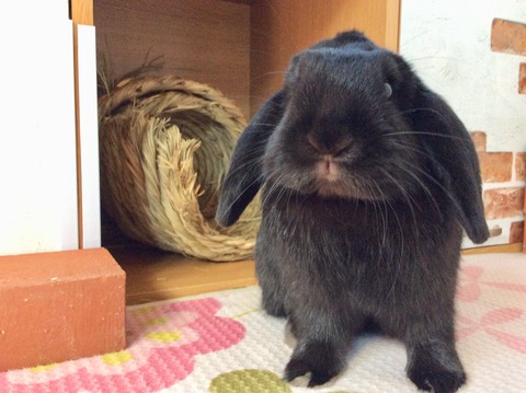 B54CA4F0-87D5-4EC5-8BF3-BA3DE4B5CA02