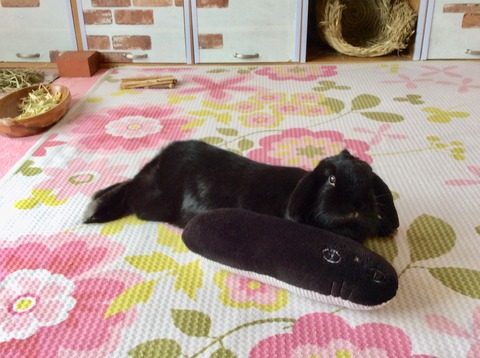 8D5AF0E6-F97B-4068-A232-9FD46D8F8658