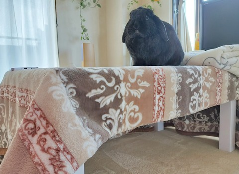 EA7DC74F-F27D-4DE5-ABE4-D2C53AD81785