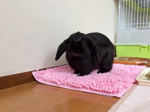 216D6A17-3E51-46F4-AF35-0DDB17B22CA5