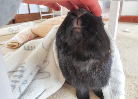 6B2C5ED0-9451-4AC6-908E-8CC89125A803