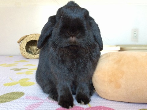 718489D5-1483-4F9B-A330-2AB11AF8CEA5